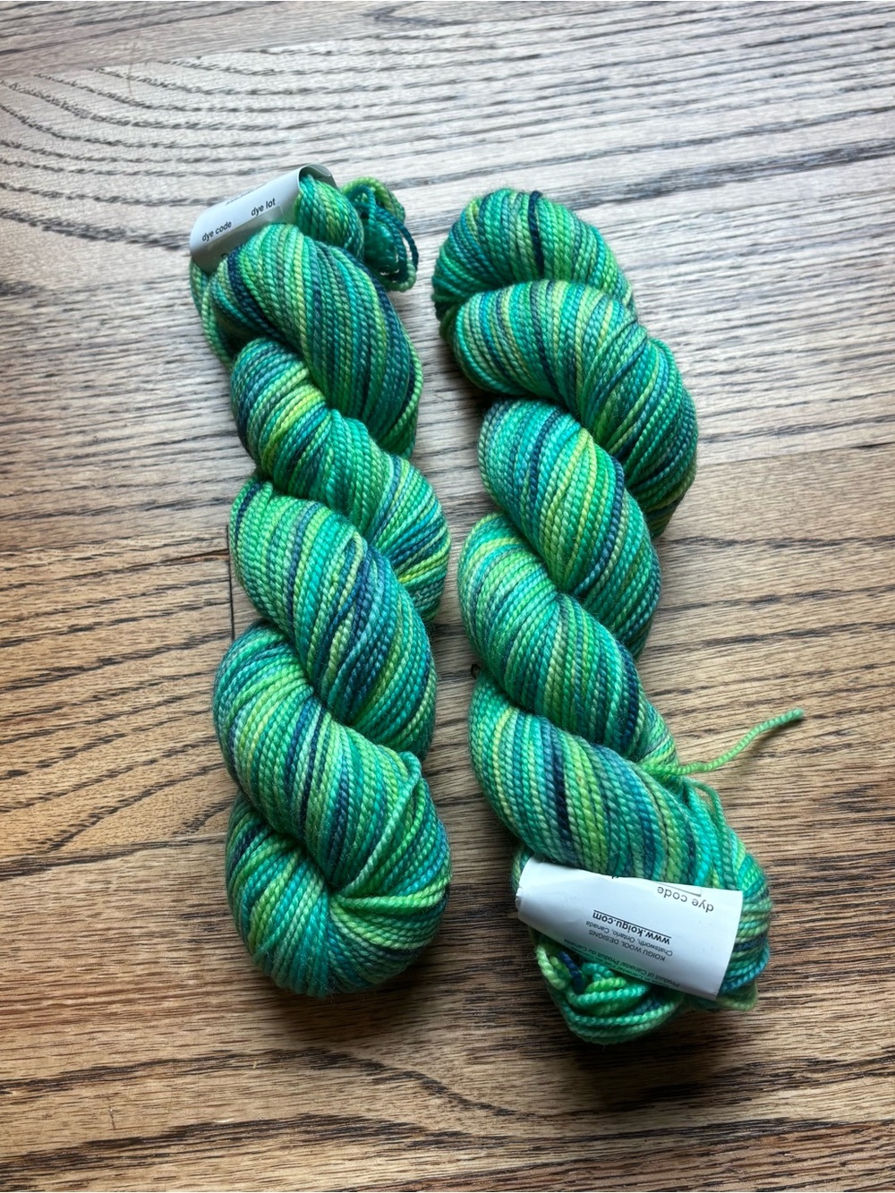 Koigu KPPPM Yarn Lot of 2 100% Merino Wool 175yds Variegated P4530006 Green NWT
